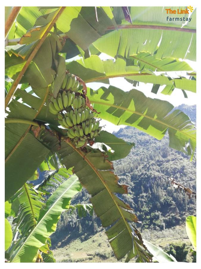 The Link Farmstay Sapa Exterior foto